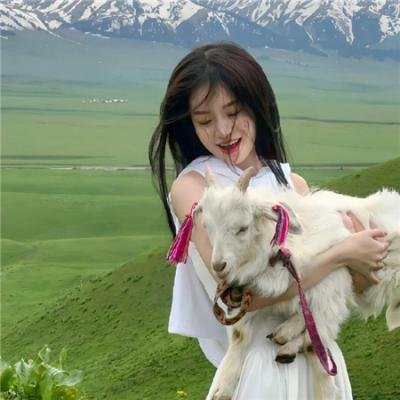 奉子不成婚