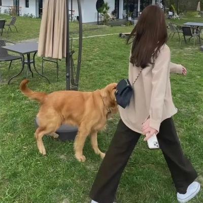 胖女不愁嫁
